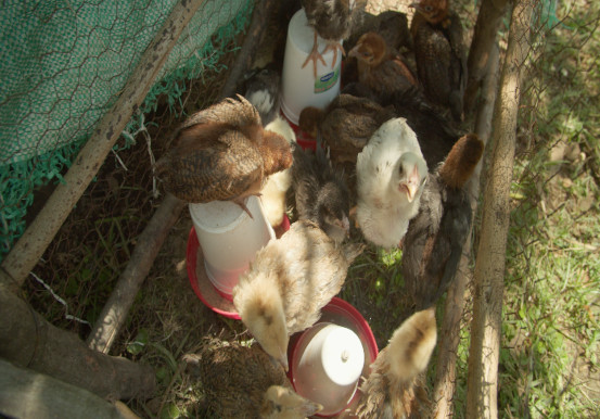 Economic Empowerment