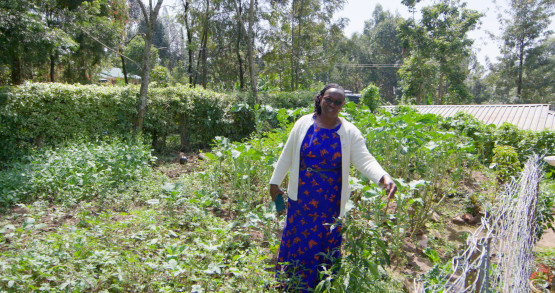 Future of Farming
