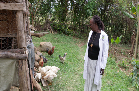 Poultry Keeping