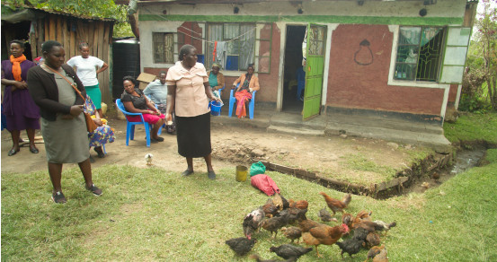 Poultry Keeping